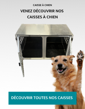 caisse de transport chien